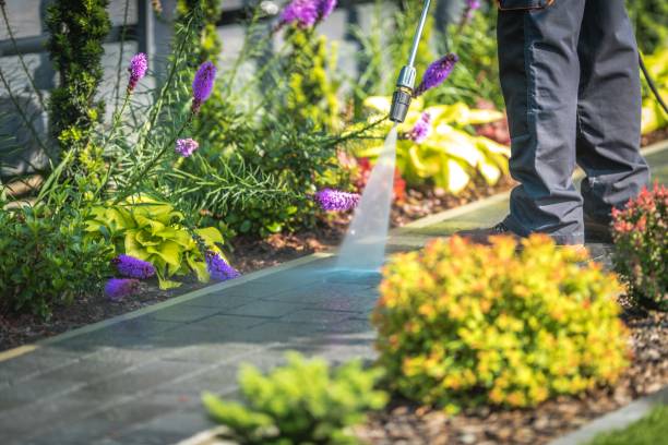 Best Deck and Patio Pressure Washing in East Northport, NY